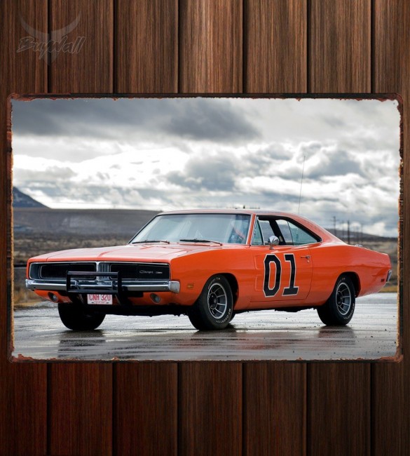 Металлическая табличка Dodge Charger 229 Металлическая табличка Dodge Charger 229